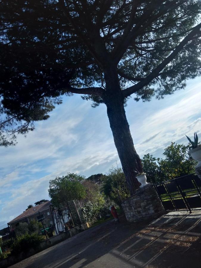 Un Nid Douillet En Bord De Plage !! Lucciana  Exterior photo