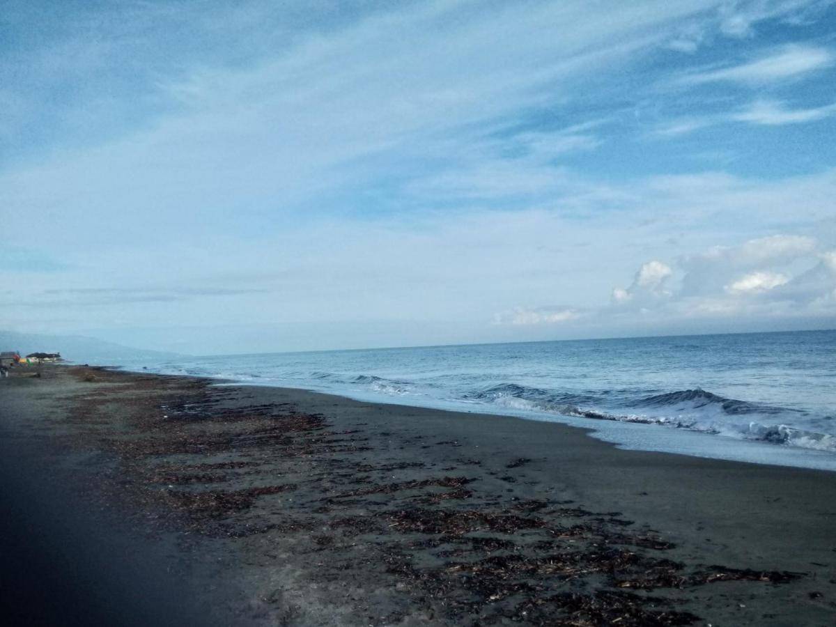 Un Nid Douillet En Bord De Plage !! Lucciana  Exterior photo